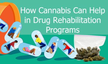 CANNABIS FOR DRUG REHAB USE